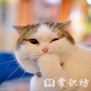 ̿˼