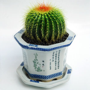 칫10ֲֲһЩ