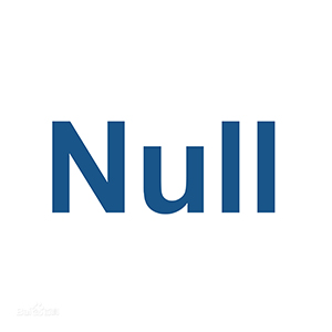 nullʲô˼