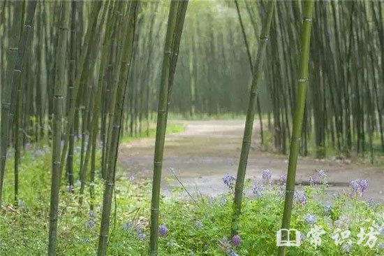 ŵعŵ˼